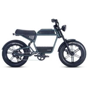 ELECTRIC BIKE